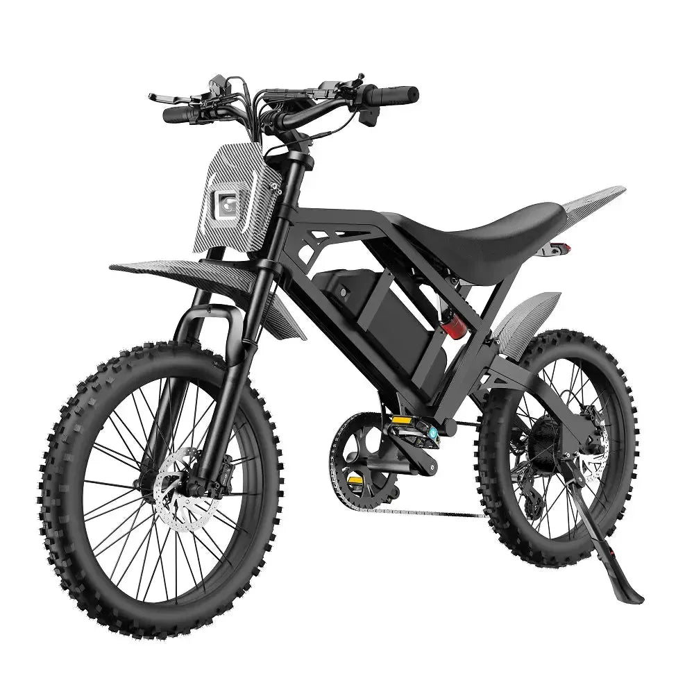 QMWheel V20 Cross fatbike in black, angled front view with front plate, front fork and disc brake
